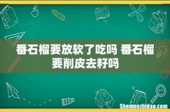 番石榴要放软了吃吗 番石榴要削皮去籽吗