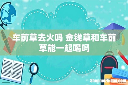 车前草去火吗 金钱草和车前草能一起喝吗