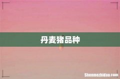 丹麦猪品种