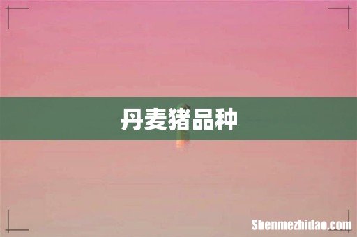 丹麦猪品种