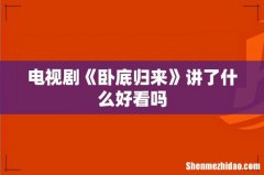 电视剧《卧底归来》讲了什么好看吗