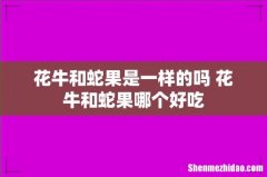 花牛和蛇果是一样的吗 花牛和蛇果哪个好吃