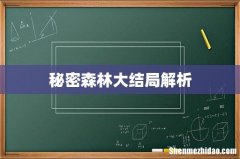 秘密森林大结局解析