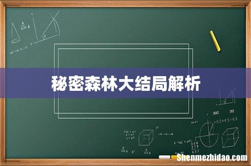 秘密森林大结局解析