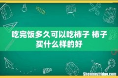 吃完饭多久可以吃柿子 柿子买什么样的好