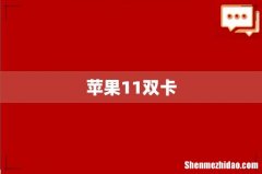 苹果11双卡