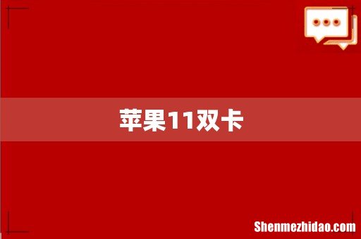 苹果11双卡