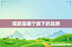 观致是哪个旗下的品牌