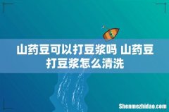 山药豆可以打豆浆吗 山药豆打豆浆怎么清洗