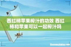 西红柿苹果榨汁的功效 西红柿和苹果可以一起榨汁吗