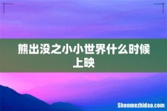熊出没之小小世界什么时候上映