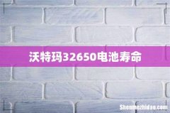 沃特玛32650电池寿命