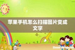 苹果手机怎么扫描图片变成文字