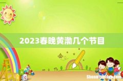 2023春晚黄渤几个节目