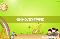 是什么文件格式