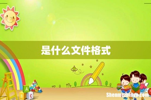 是什么文件格式