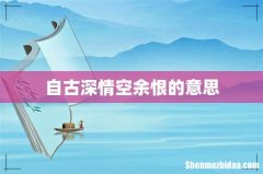 自古深情空余恨的意思