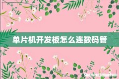 单片机开发板怎么连数码管