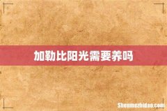 加勒比阳光需要养吗