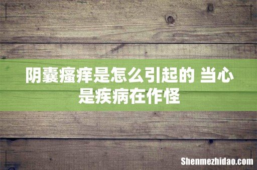 阴囊瘙痒是怎么引起的 当心是疾病在作怪