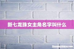 新七龙珠女主角名字叫什么