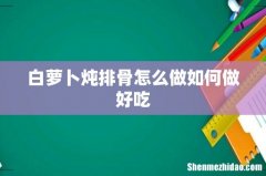 白萝卜炖排骨怎么做如何做好吃
