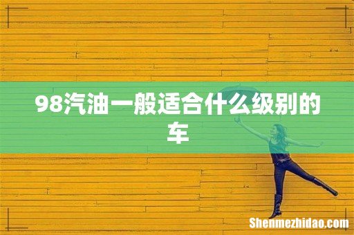 98汽油一般适合什么级别的车