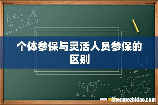 个体参保与灵活人员参保的区别