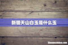 新疆天山白玉是什么玉