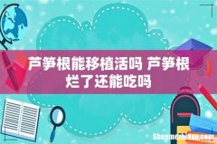 芦笋根能移植活吗 芦笋根烂了还能吃吗