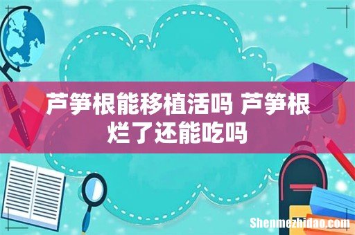 芦笋根能移植活吗 芦笋根烂了还能吃吗