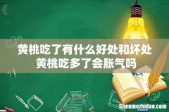 黄桃吃了有什么好处和坏处 黄桃吃多了会胀气吗