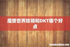 魔兽世界防骑和DKT哪个好点