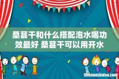 桑葚干和什么搭配泡水喝功效最好 桑葚干可以用开水泡吗