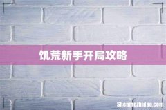 饥荒新手开局攻略
