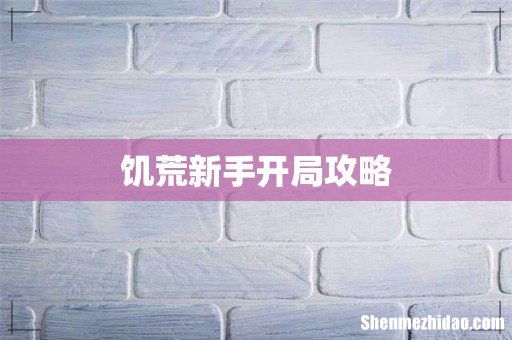 饥荒新手开局攻略
