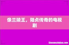 像兰陵王，陆贞传奇的电视剧