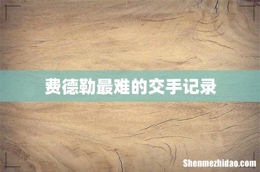 费德勒最难的交手记录