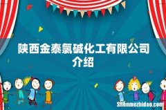 陕西金泰氯碱化工有限公司介绍