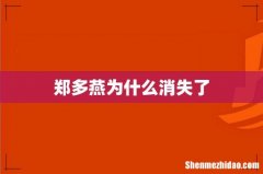 郑多燕为什么消失了