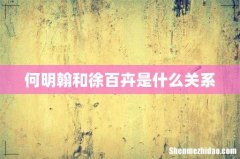 何明翰和徐百卉是什么关系