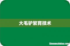 大毛驴繁育技术