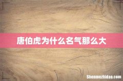 唐伯虎为什么名气那么大