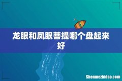 龙眼和凤眼菩提哪个盘起来好