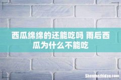 西瓜绵绵的还能吃吗 雨后西瓜为什么不能吃