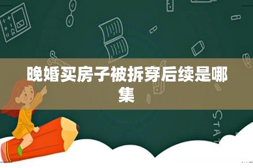 晚婚买房子被拆穿后续是哪集