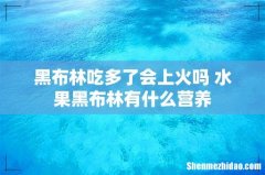 黑布林吃多了会上火吗 水果黑布林有什么营养