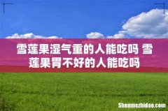 雪莲果湿气重的人能吃吗 雪莲果胃不好的人能吃吗