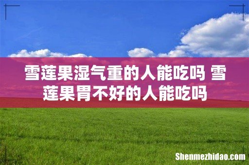 雪莲果湿气重的人能吃吗 雪莲果胃不好的人能吃吗