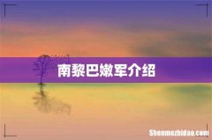 南黎巴嫩军介绍